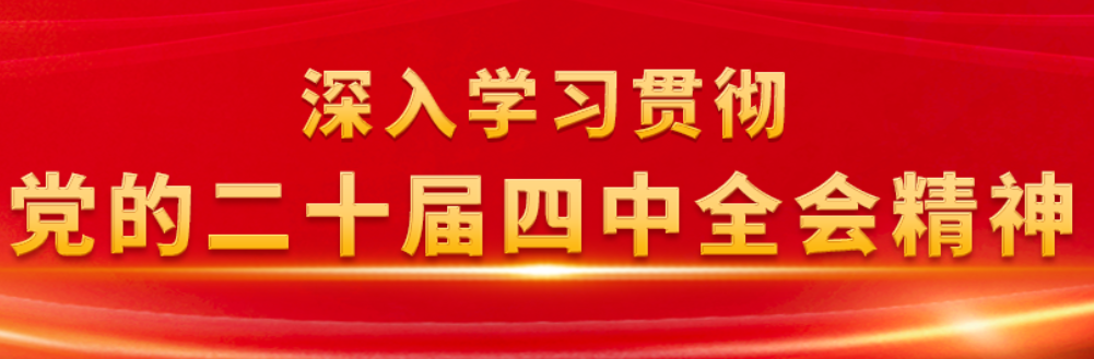 学习贯彻党的二十届四中全会精神